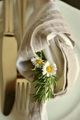 Read online Dandelion Flowers in a Napkin Journal: Take Notes, Write Down Memories in This 150 Page Lined Journal - NOT A BOOK file in PDF