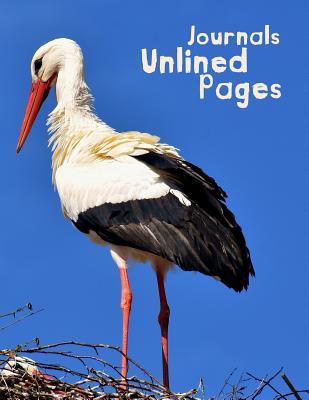 Download Journals Unlined Pages: 8.5 X 11, 120 Unlined Blank Pages for Unguided Doodling, Drawing, Sketching & Writing - NOT A BOOK file in PDF