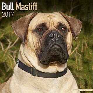 Read online Bull Mastiff Calendar 2017 - Bullmastiff - Dog Breed Calendars - 2016 - 2017 wall calendars - 16 Month by Avonside - NOT A BOOK | PDF