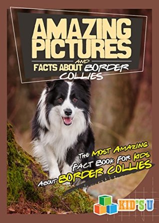 Read online Amazing Pictures and Facts About Border Collies : The Most Amazing Fact Book for Kids About Border Collies (Kid's U) - Mina Kelly | ePub