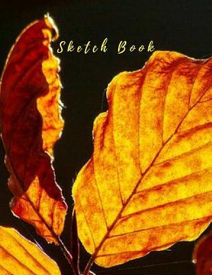 Read online Sketch Book: Practice Painting, Drawing, Writing, Sketching or Creative Doodling. - Akebia Publishing file in PDF