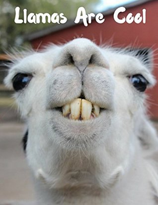 Read online Llamas Are Cool: A Llama Design Composition Notebook -  | PDF