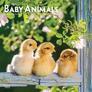 Download Baby Animals 2019 12 x 12 Inch Monthly Square Wall Calendar, Animals Domestic (English, French and Spanish Edition) -  file in ePub
