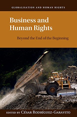 Download Business and Human Rights: Beyond the End of the Beginning (Globalization and Human Rights) - Cesar Rodriguez-Garavito file in PDF