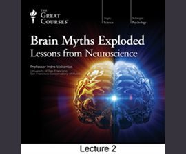 Read Are Bigger Brains Smarter? (Brain Myths Exploded: Lessons from Neuroscience, #2) - Indre Viskontas | ePub