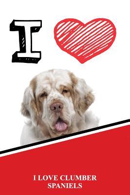 Read online I Love Clumber Spaniels: Isometric Dot Paper Portrait Notebook 120 Pages 6x9 -  file in PDF