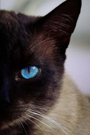 Read online Siamese Cat is Watching You Journal: 150 Page Lined Notebook/Diary - CS Creations | PDF