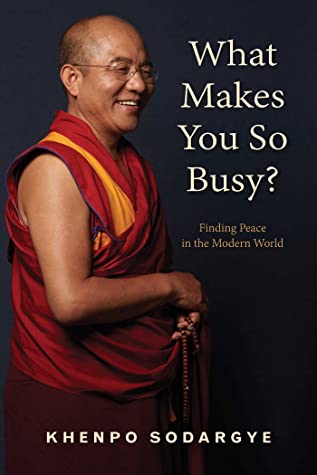 Read online What Makes You So Busy?: Finding Peace in the Modern World - Khenpo Sodargye | ePub